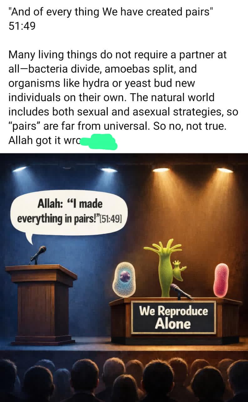 Allah Created Everything in Pairs