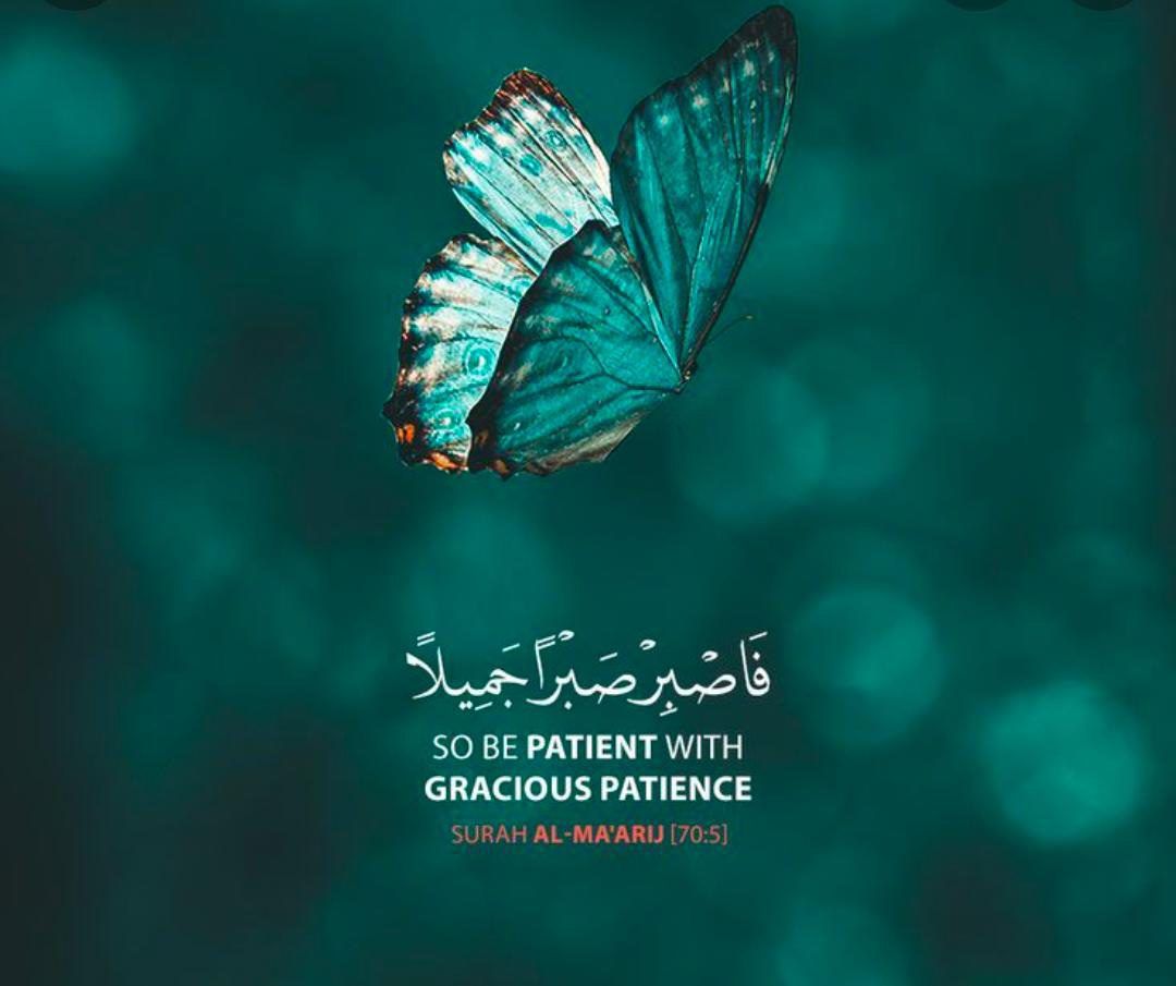 Dimensions of patience.